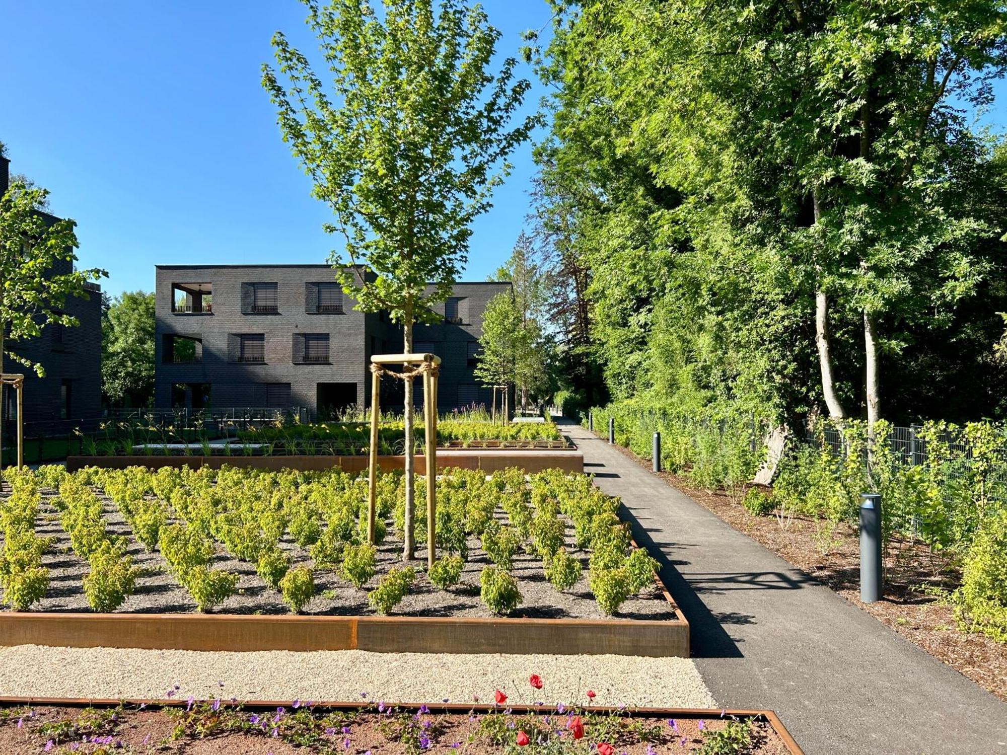 Seeparkvilla - Wohlfuehlen Am See Und Im Gruenen Bregenz Bagian luar foto