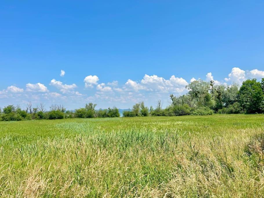 Seeparkvilla - Wohlfuehlen Am See Und Im Gruenen Bregenz Bagian luar foto