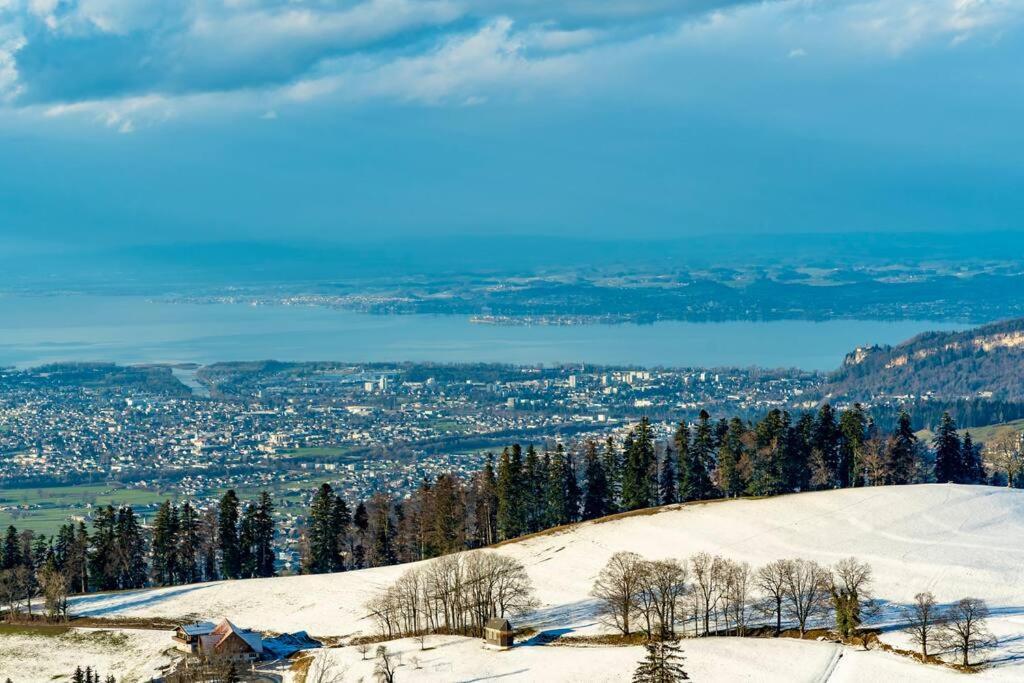 Seeparkvilla - Wohlfuehlen Am See Und Im Gruenen Bregenz Bagian luar foto