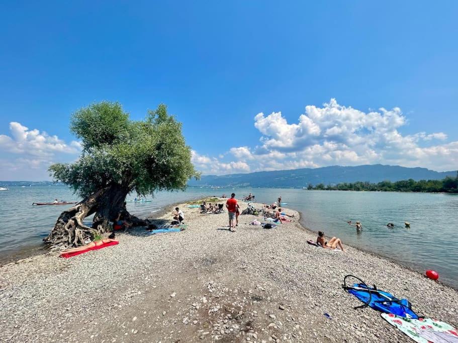 Seeparkvilla - Wohlfuehlen Am See Und Im Gruenen Bregenz Bagian luar foto